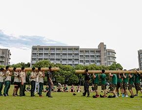 团结合作