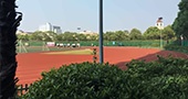 实力雄厚