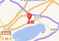 总校