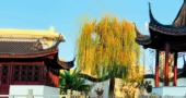 小班化教学