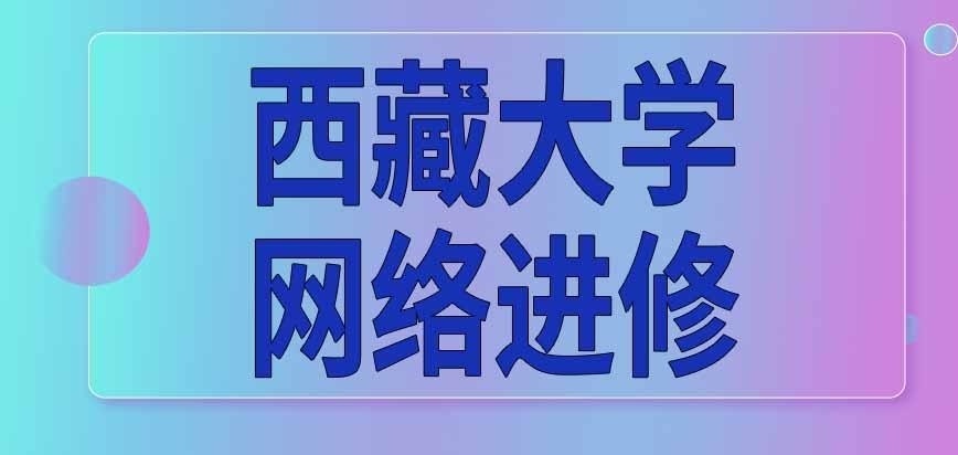 西藏大学在职研究生可以通过网络进修吗
