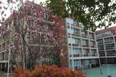句容碧桂园学校.jpg