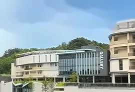4+0国际本科项目
