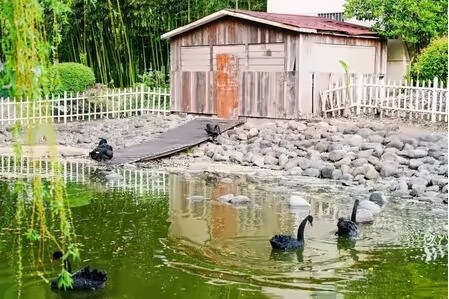 英澳美湖光掠影.jpg