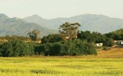 贝赛特山中学