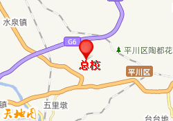 总校