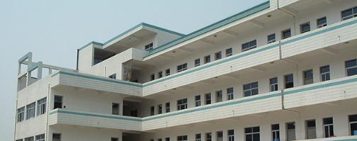 安徽行知学校