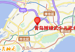 青岛新精武少儿武术培训