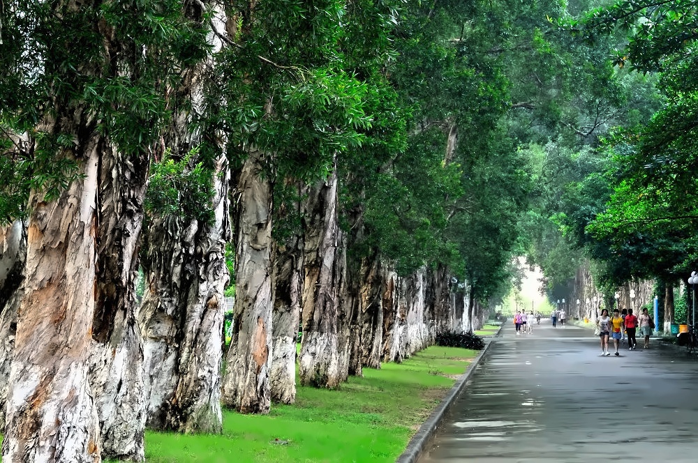 广东外语外贸大学
