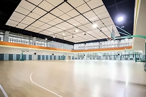 南京金地未来学校室内体育馆