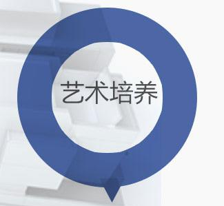 艺术培养