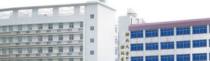 湖北旅游学校