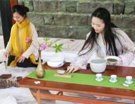 重庆井杨子茶艺