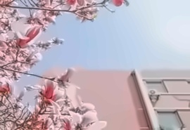 日本留学预科