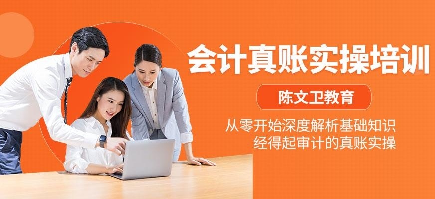 真账实操