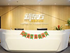 石家庄新东方英语