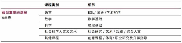 藤剑雏鹰班.jpg