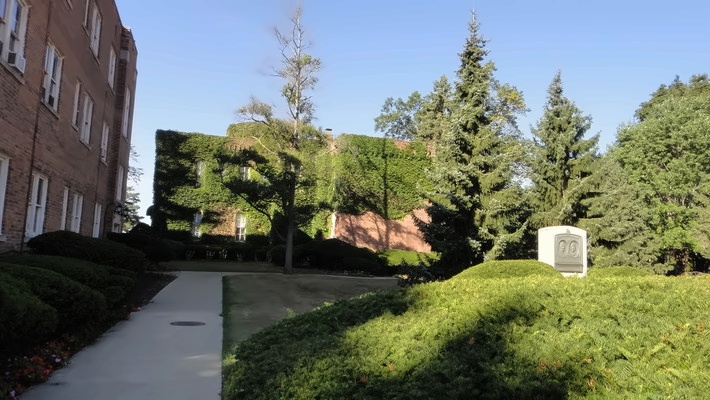 学校官方图片