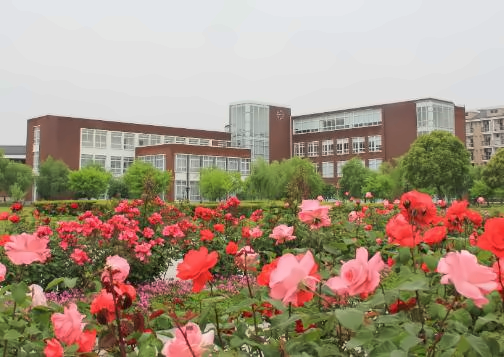 上海立达学院出国留学