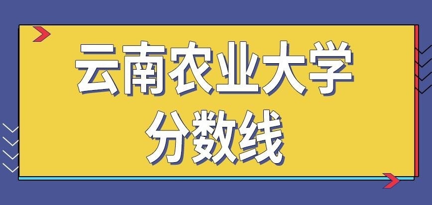 云南农业大学在职研究生分数线