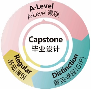 wlsa上海学校A-Level课程项目.jpg