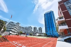 华爱HPA融合部小学融合课程