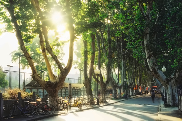 南京航空航天大学