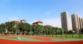 坚持搭建多元化的国际化平台