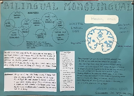11DP 探讨 language and identity “语言与身份”话题时制作的多语言者与单语言者优劣势分析海报.jpg