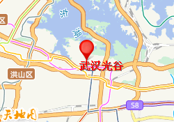 武汉光谷