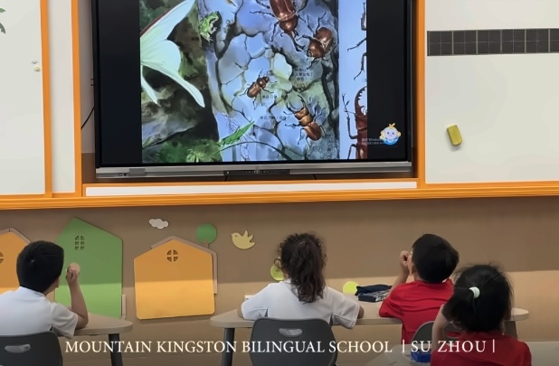 苏州山峰双语学校小学部课程