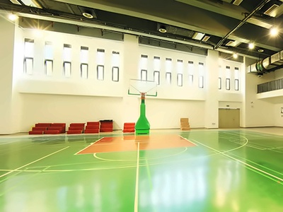 海南三亚外籍人员子女学校（TIS）