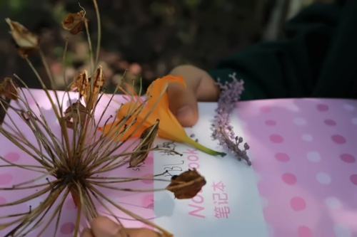 走进植物世界.jpg