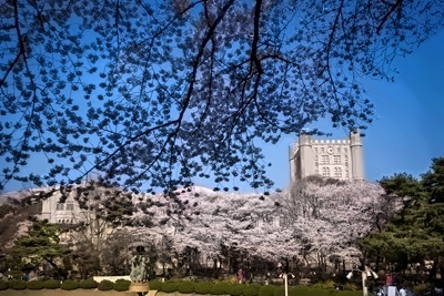 庆熙大学