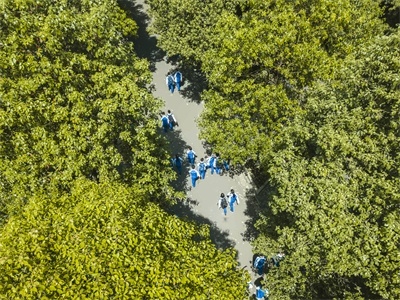 成都石室天府中學國際部