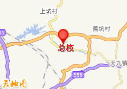 总校
