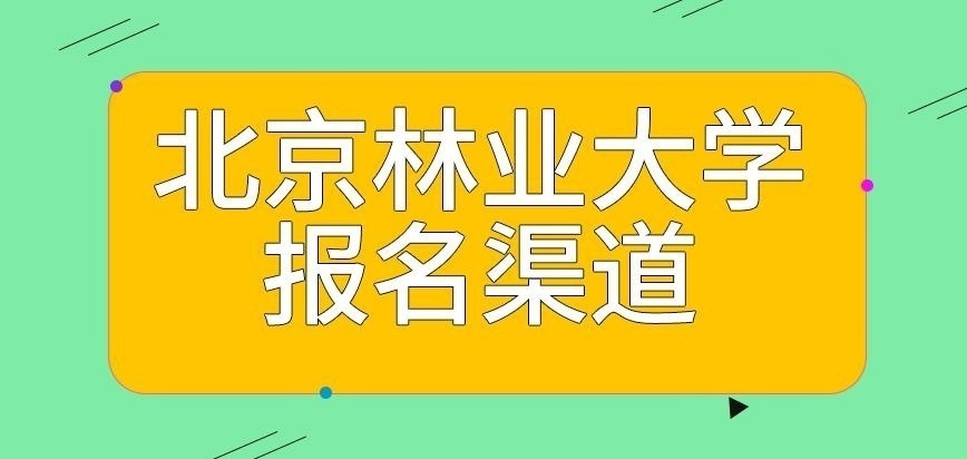 北京林业大学在职研究生报名渠道是多选项吗