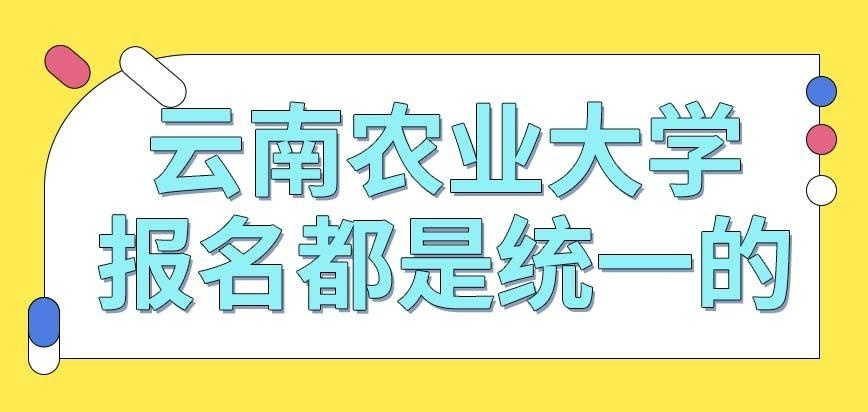 云南农业大学在职研究生省内的人员报名更容易吗