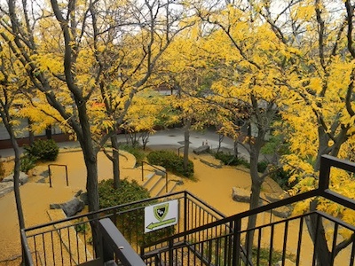 多伦多国际学院庭院