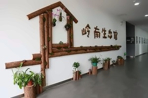 深圳道尔顿新华公学博物廊