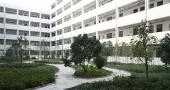 师资团队稳定