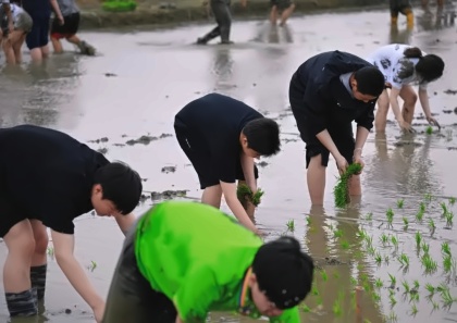 美华学校PBL实践课.jpg