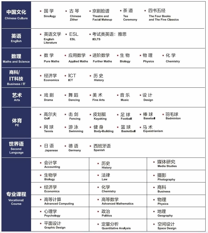 IGCSE+A-Level课程+DG课程.jpg
