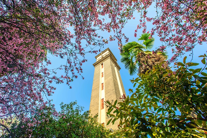 云南大学