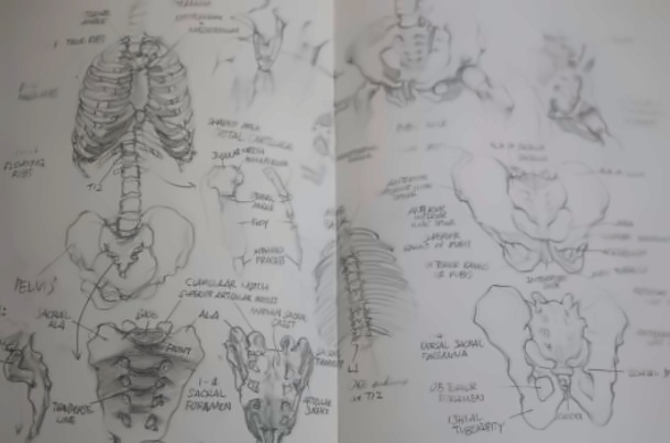 北京德闳学校兴趣课程4