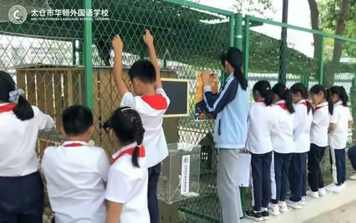 参观动物园