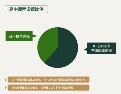 南京金地未来学校高中课程设置.jpg