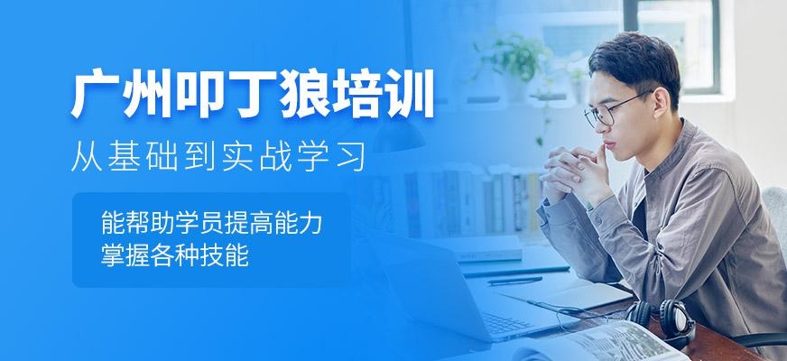 广州叩丁狼培训机构