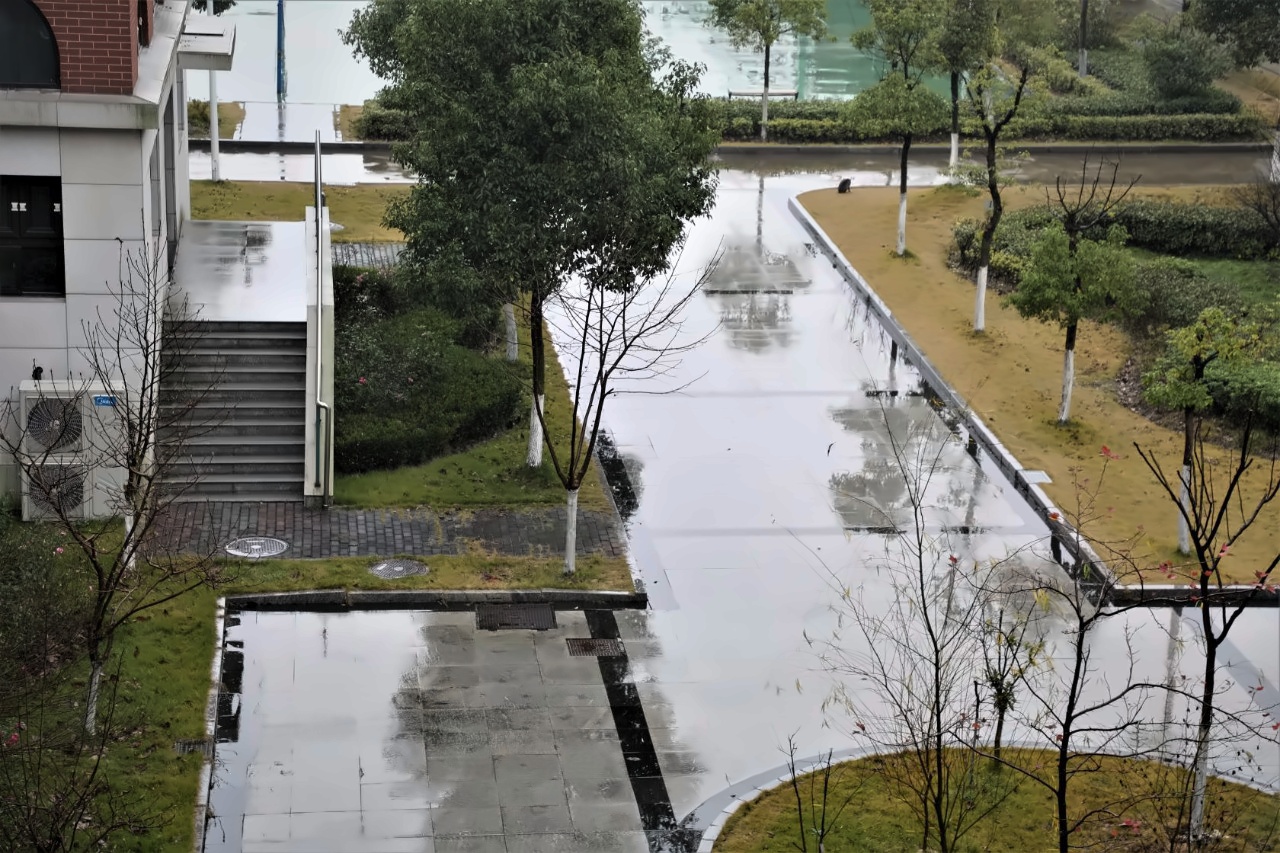 上海枫叶国际学校校园.jpg
