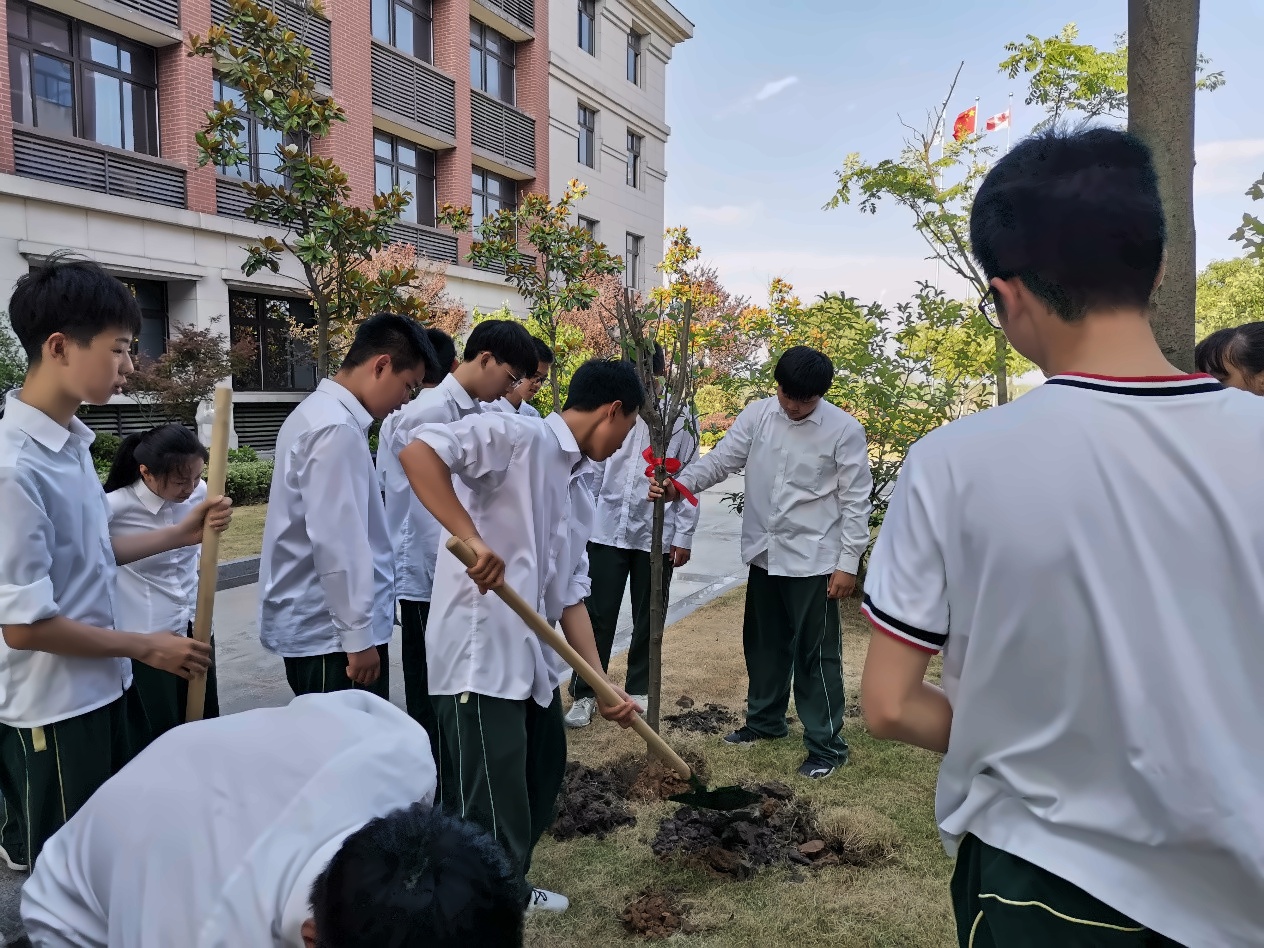 种植海棠树.jpg